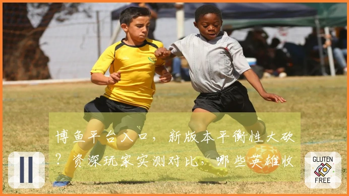 博鱼平台入口，新版本平衡性大砍？资深玩家实测对比，哪些英雄收益变低了？