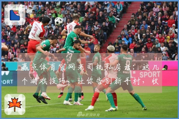 赢点体育官网老司机私房话：这几个游戏技巧，让你告别新手村，收益直接拉满！