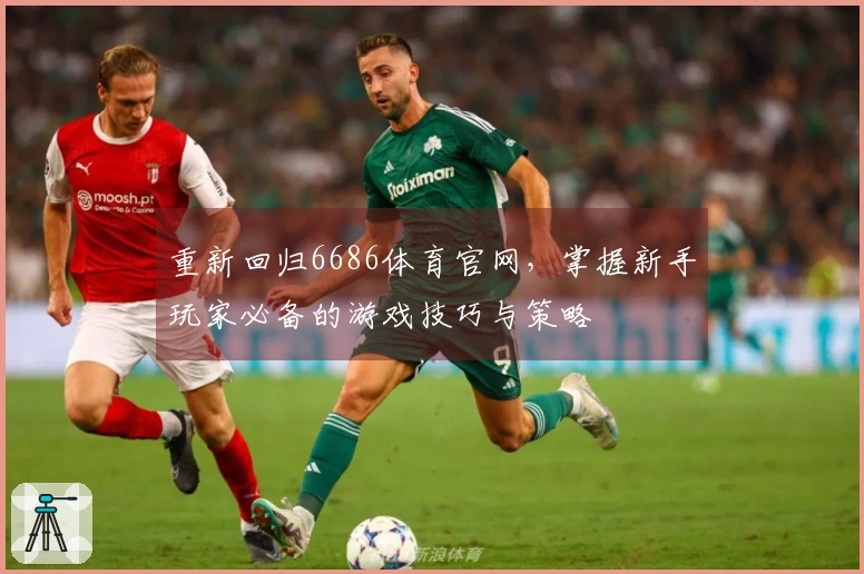 重新回归6686体育官网，掌握新手玩家必备的游戏技巧与策略