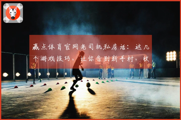 赢点体育官网老司机私房话：这几个游戏技巧，让你告别新手村，收益直接拉满！