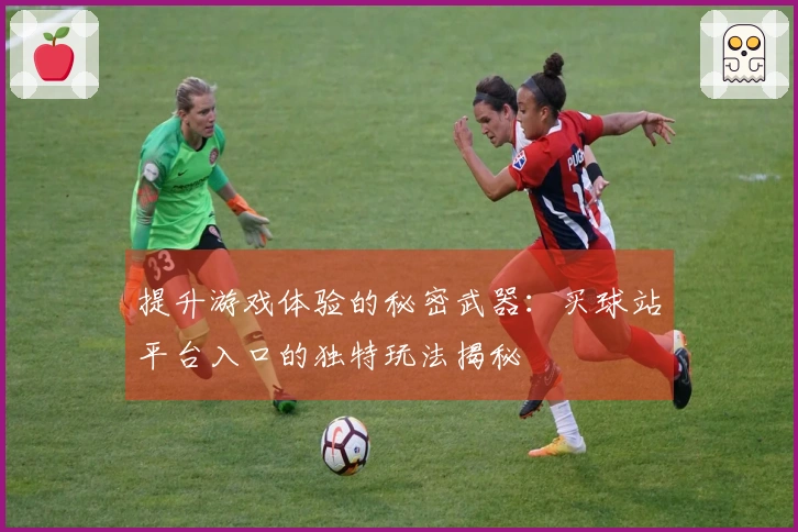 提升游戏体验的秘密武器：买球站平台入口的独特玩法揭秘