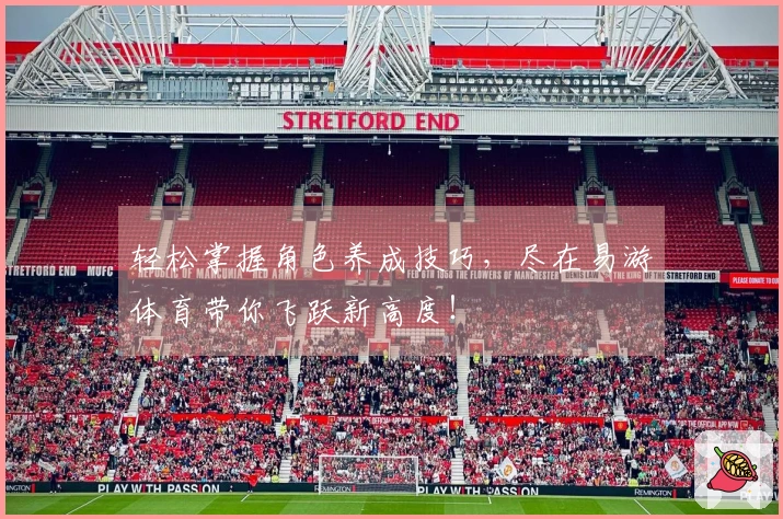 轻松掌握角色养成技巧，尽在易游体育带你飞跃新高度！