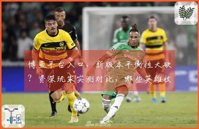 博鱼平台入口，新版本平衡性大砍？资深玩家实测对比，哪些英雄收益变低了？